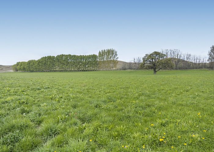  at 90 Crawford Hills Road, Galloway, Alexandra