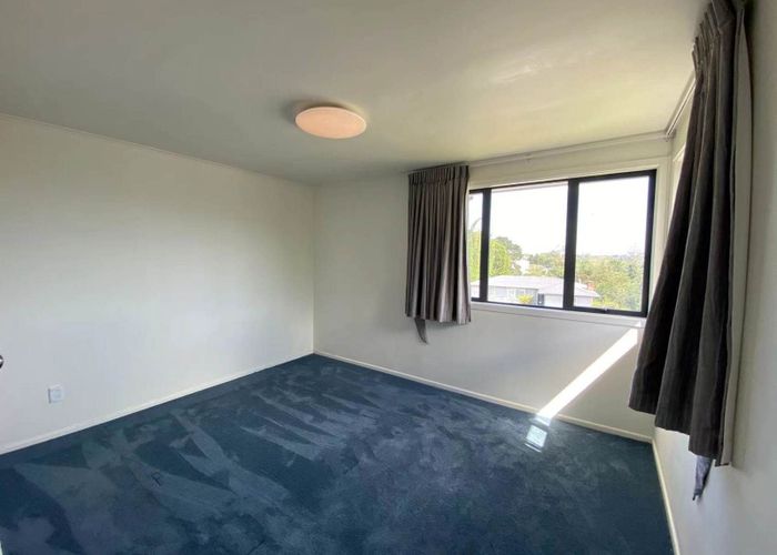  at 99 Methuen Road, New Windsor, Auckland City, Auckland