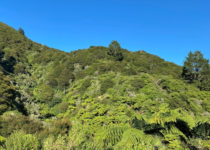  at 180 Totaranui Road, Wainui Bay, Tākaka
