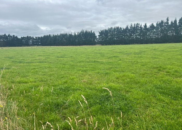  at 49 Gundries Road, Dannevirke, Tararua, Manawatu / Whanganui