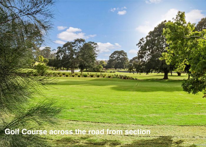  at 591A Richardson Road, Mount Roskill, Auckland
