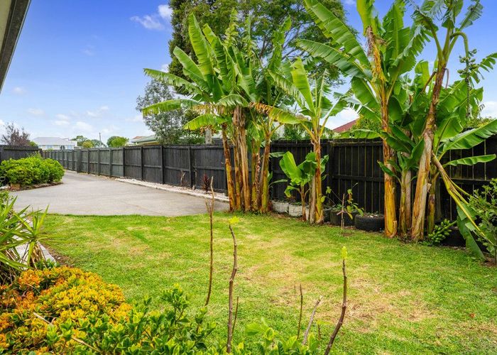  at 14e Church Street, Tuakau, Franklin, Auckland
