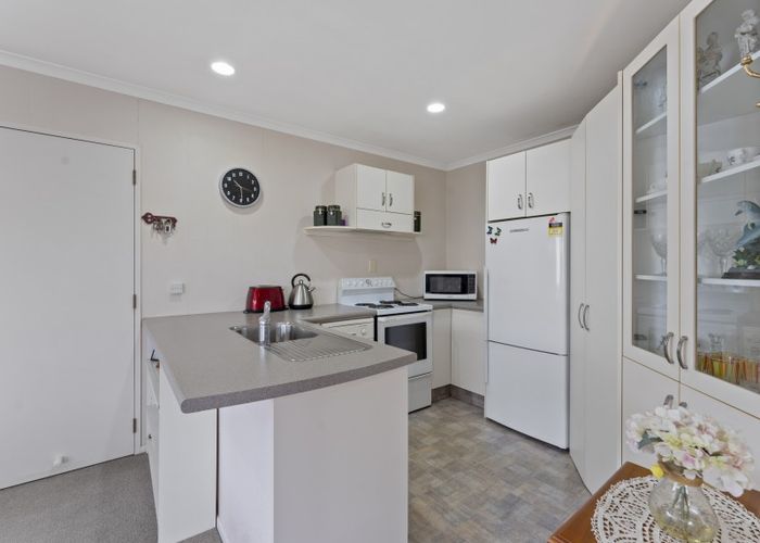  at 156 Carrington Street, Lower Vogeltown, New Plymouth