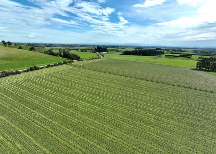  at Livingstone Road, Browns, Southland, Southland