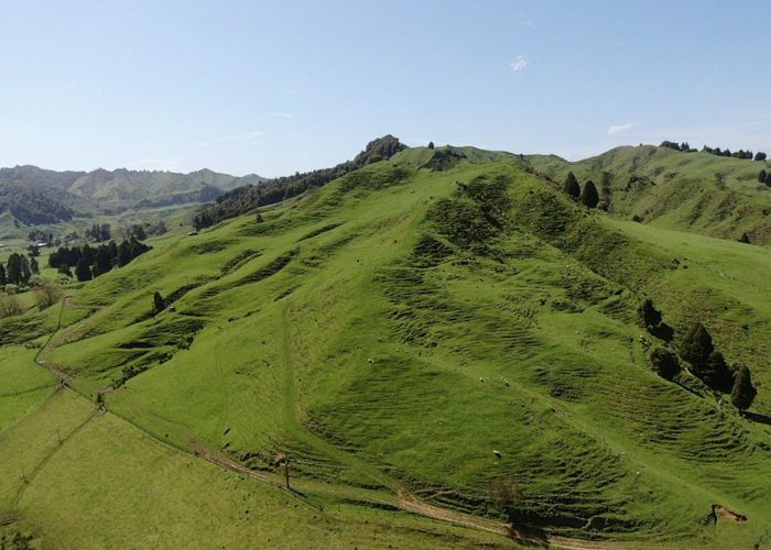 For sale 167 Whenuakura Road, Taumarunui, Ruapehu, Manawatu / Whanganui homes.co.nz