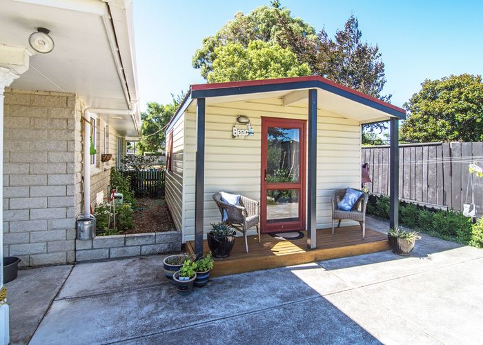  at 17 Carverthen Street, Masterton