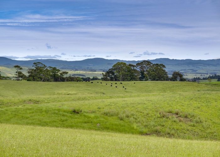  at 822 Whakapirau Road, Maraekakaho, Hastings, Hawke's Bay