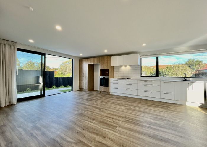  at 17A Roxburgh Street, Sydenham, Christchurch City, Canterbury