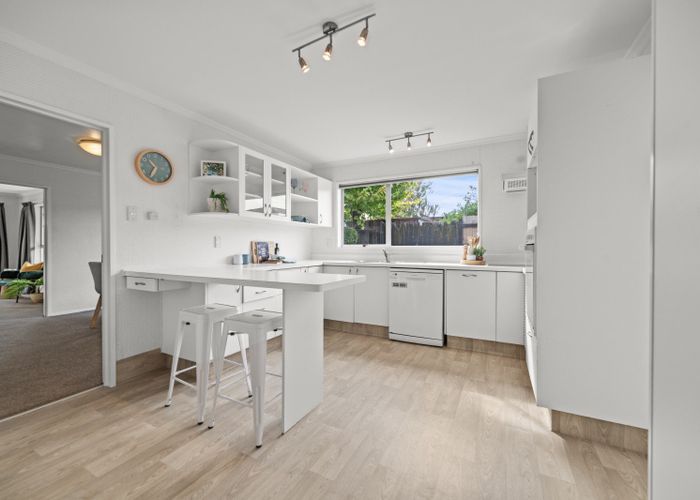 at 17 Caulfield Place, Awapuni, Palmerston North, Manawatu / Whanganui