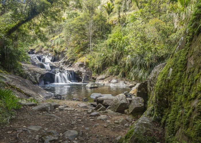  at 586 Tapu Coroglen Road, Tapu, Thames-Coromandel, Waikato