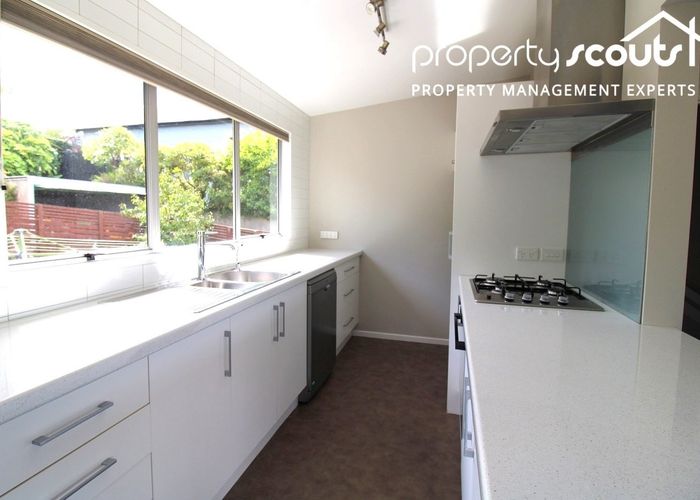  at 23 Henry Street, Maori Hill, Dunedin