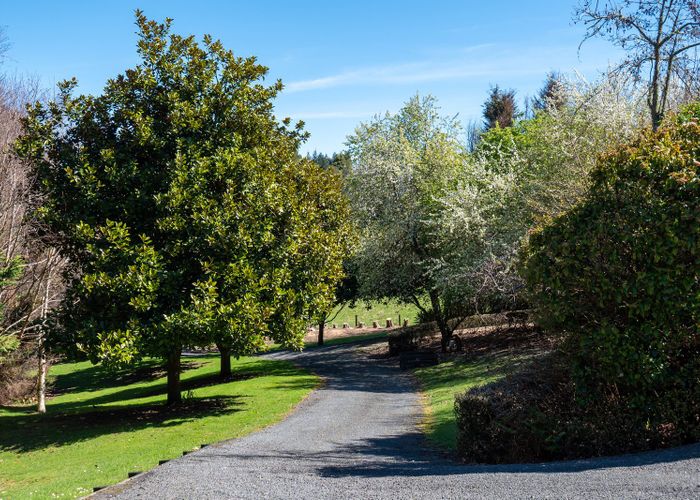 at 207C State Highway 30, Tikitere, Rotorua, Bay Of Plenty