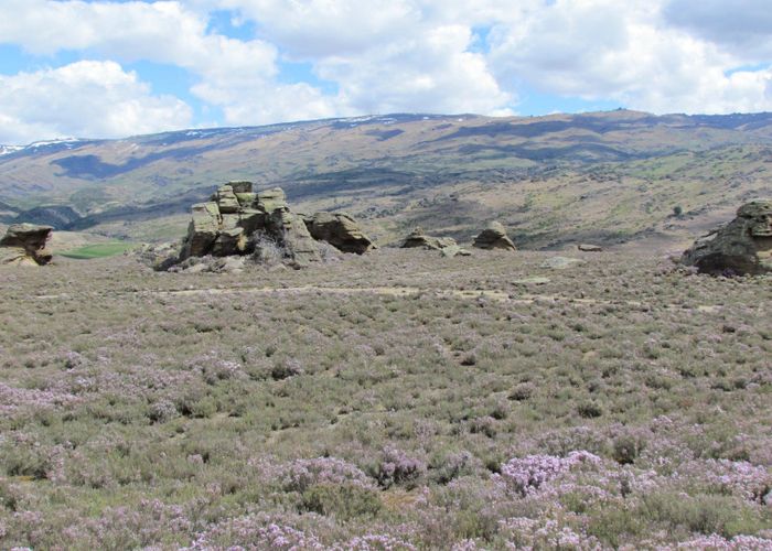  at 0 Tor Hill Road, Conroys Gully, Alexandra