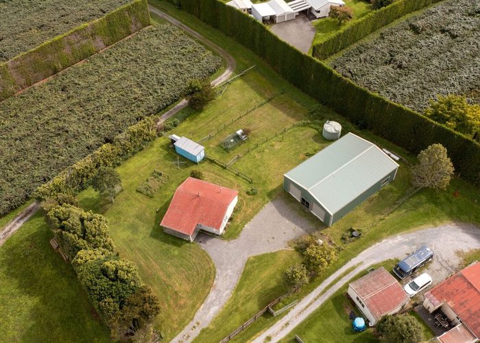  at 856B Oropi Road, Oropi, Western Bay Of Plenty, Bay Of Plenty