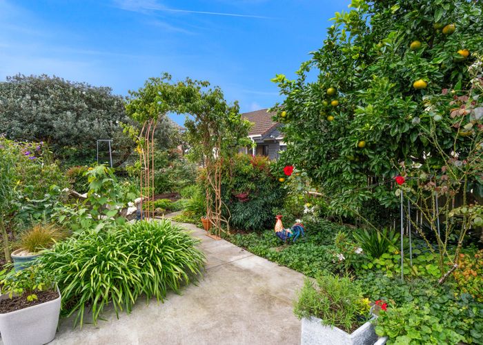  at 46B Mill Road, Regent, Whangarei, Northland