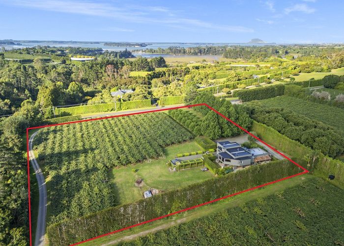 For sale 50 Emeny Road, Whakamarama, Western Bay Of Plenty, Bay Of Plenty homes.co.nz