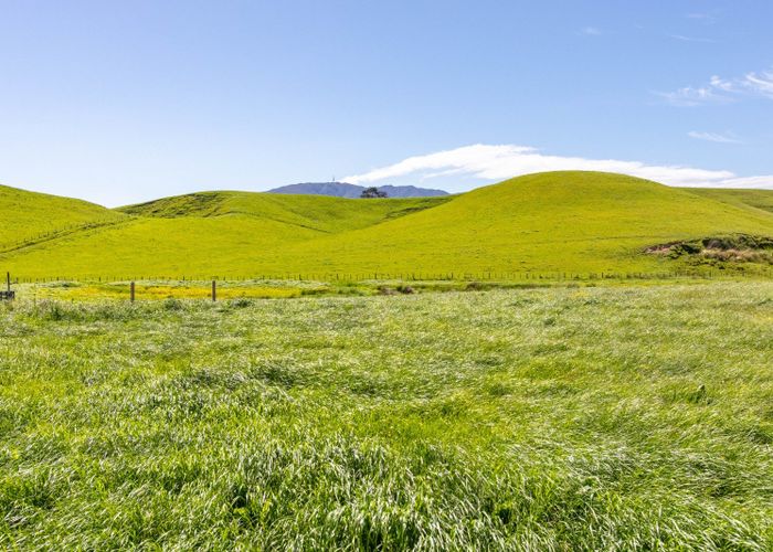  at 79816 State Highway 2, Woodville, Tararua, Manawatu / Whanganui