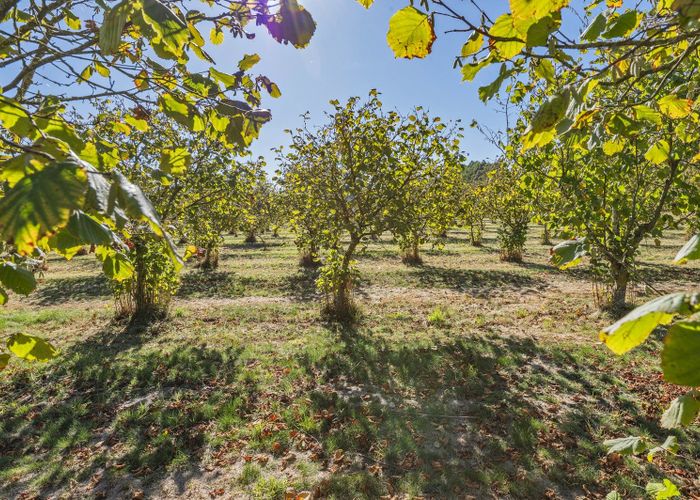  at 615 Pesters Road, West Eyreton, Waimakariri, Canterbury