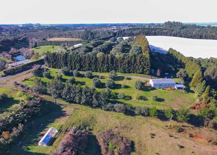  at 167 Woodland Road, Tahawai, Katikati