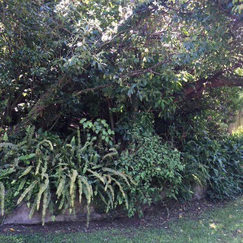  at 27 Ranui Terrace, Tawa, Wellington