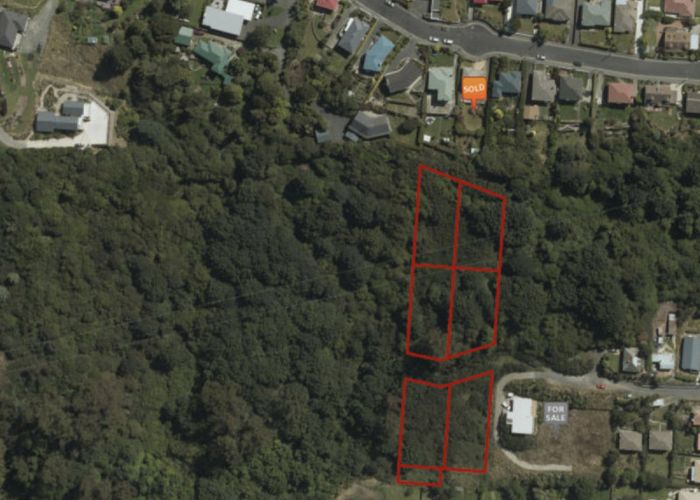  at 20 Thomson Street, Lookout Point, Dunedin