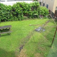  at 1 Lovelock Avenue, North Dunedin, Dunedin