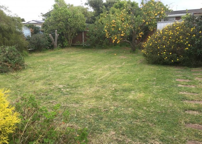  at 17 Andrew Street, Waikanae