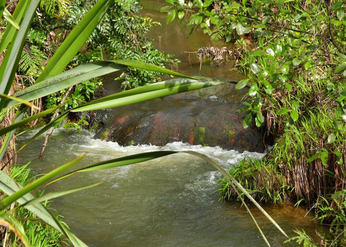  at 80 Tunnel Road, Puhoi, Warkworth