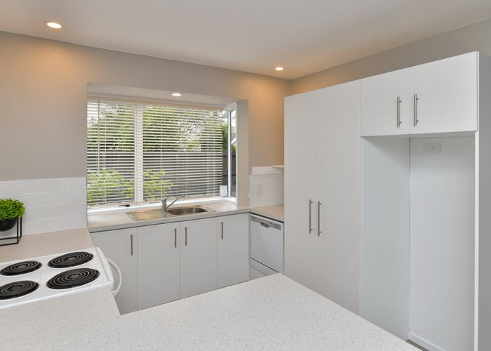  at 16 Coles Place, St Albans, Christchurch
