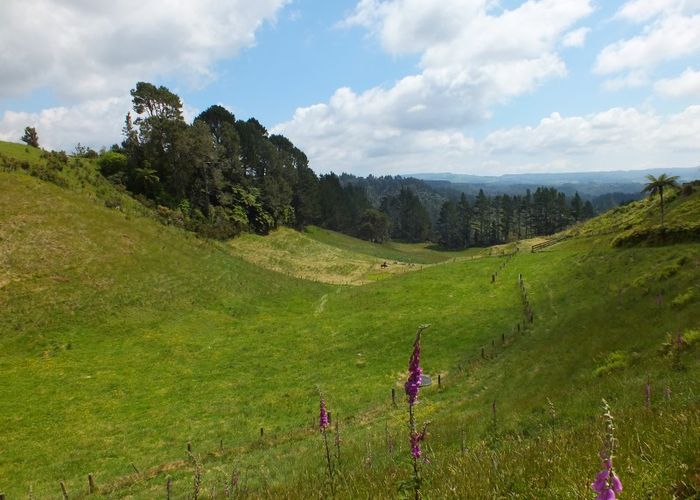  at 588 MCLAREN FALLS ROAD, Omanawa, Tauranga
