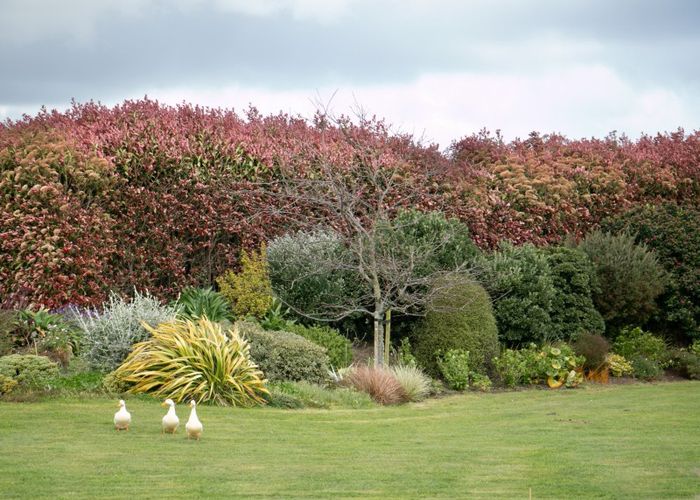  at 8 Paterson Lane, Kelvin Grove, Palmerston North