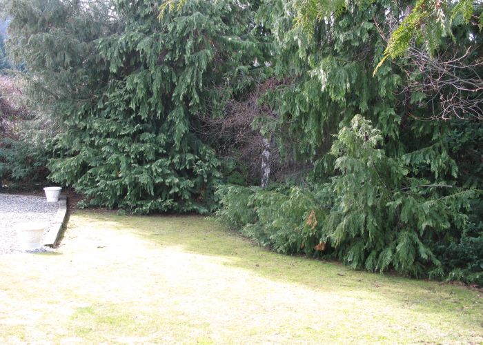  at 4 Derby Street, Arrowtown, Arrowtown
