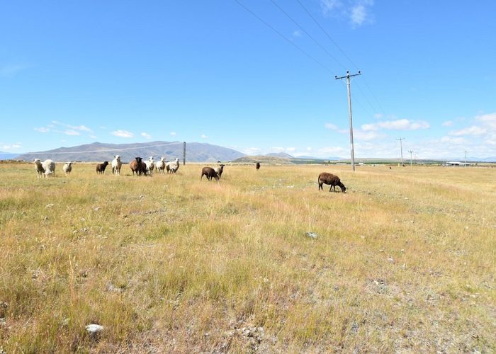  at 344 Manuka Terrace, Ben Ohau, Twizel