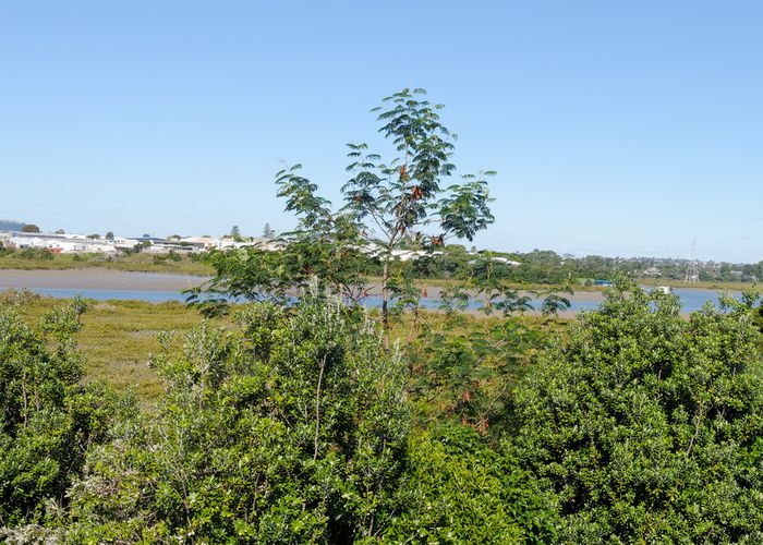 at 31 Riverglade Parkway, Te Atatu South, Auckland