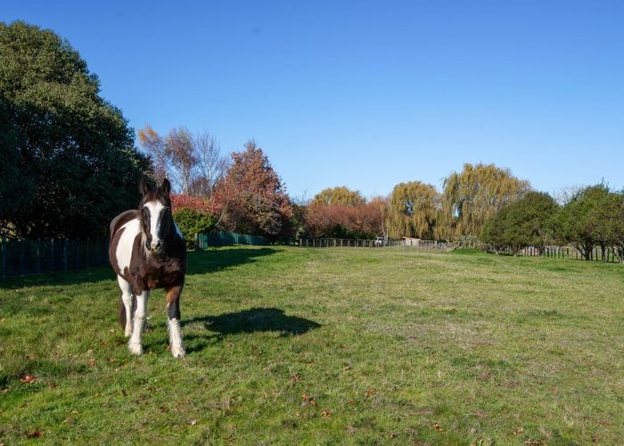  at 135 Brunswick Drive, Tikitere, Rotorua