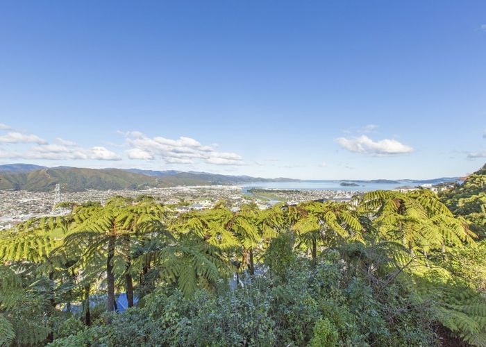  at 42 Arahiwi Grove, Tirohanga, Lower Hutt