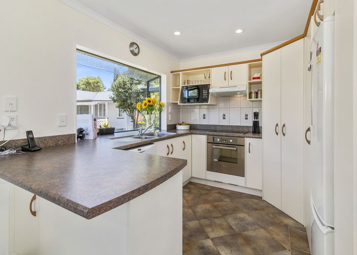  at 16 Nikau Street, Springfield, Rotorua