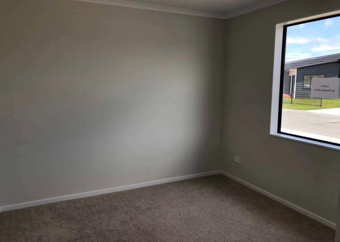  at 42 Maggie Place, Chartwell, Hamilton, Waikato