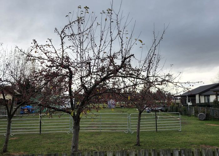  at 13 Welles Street, Ranfurly, Central Otago, Otago