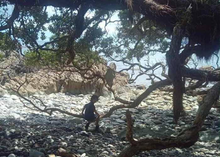  at Lot 4, 303 Waiaua Road, Hihi, Far North, Northland