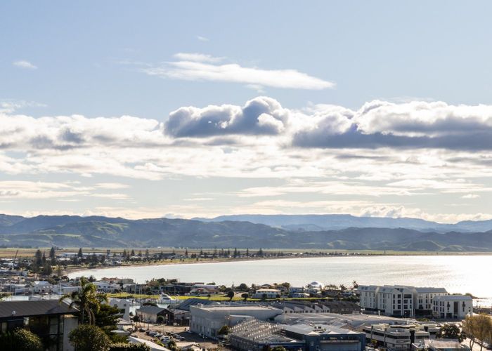  at 21 Denholm Road, Hospital Hill, Napier, Hawke's Bay