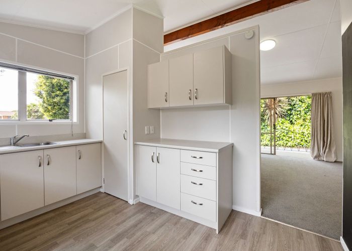  at 51A Hazelwood Avenue, Dinsdale, Hamilton