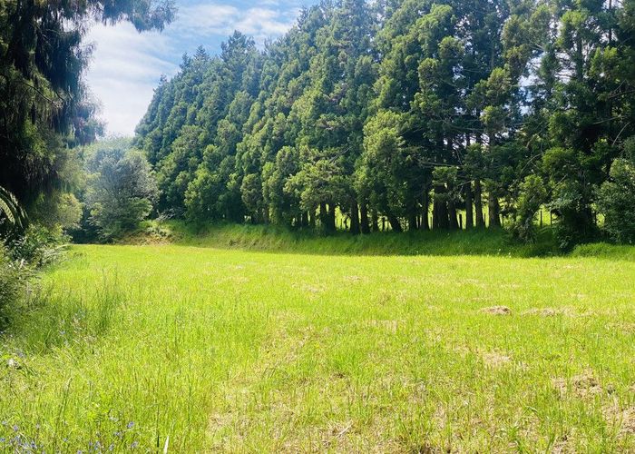  at 565 Whitford Road, Howick