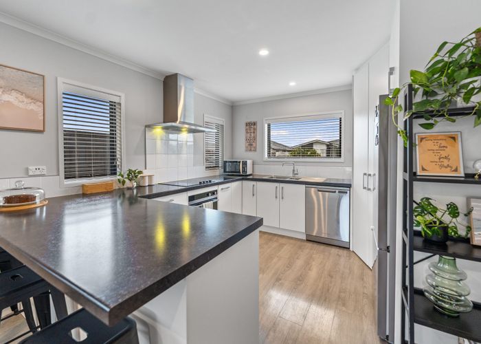  at 45 Stevenson Drive, Papamoa, Tauranga, Bay Of Plenty