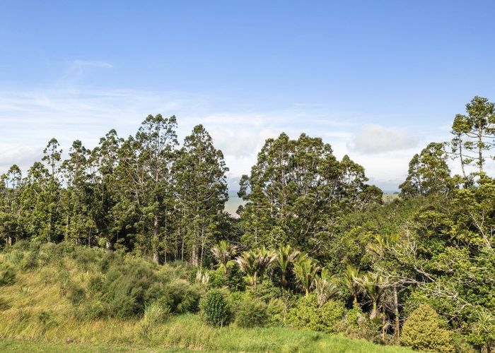  at 50 Taha Puke Road, Okura, North Shore City, Auckland