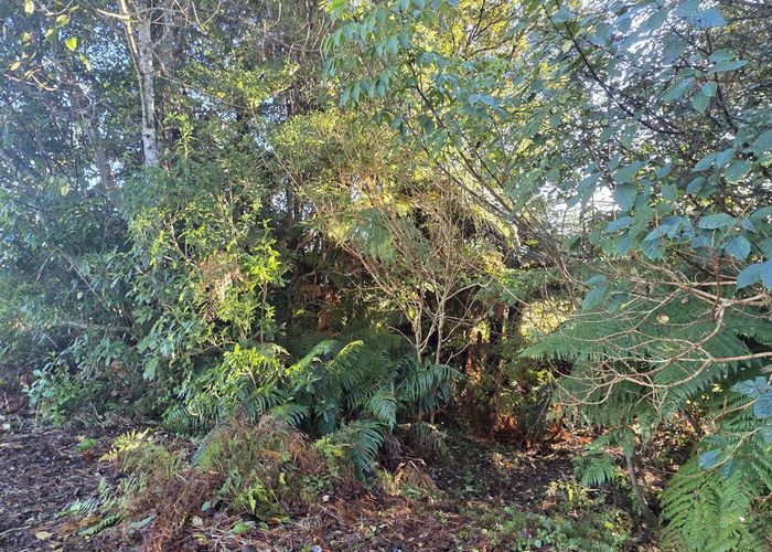  at 33 Highlander Drive, Franz Josef, Westland, West Coast