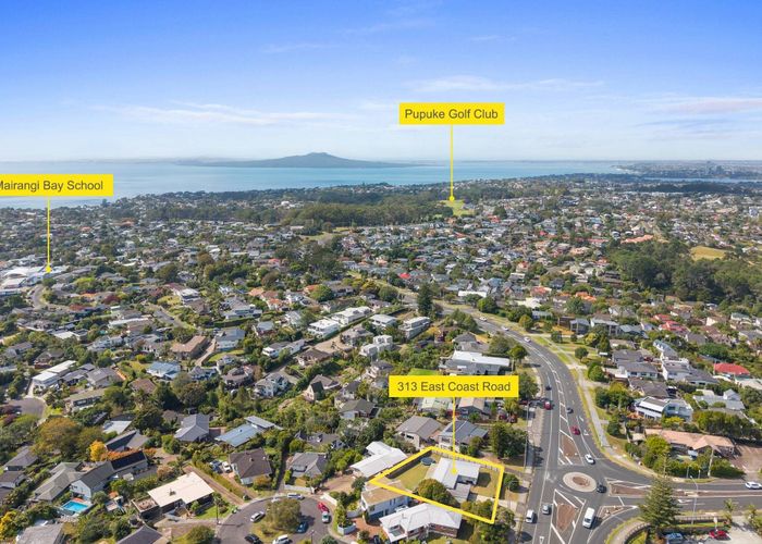 at 313 East Coast Road, Mairangi Bay, North Shore City, Auckland