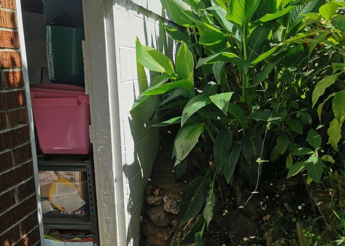  at 1/65 Hamlin Road, Mount Wellington, Auckland City, Auckland