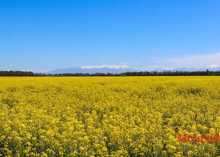  at Boundary Road, Ashburton, Ashburton, Canterbury