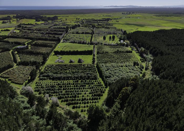  at 101 Turk Valley Road, Waiharara, Far North, Northland